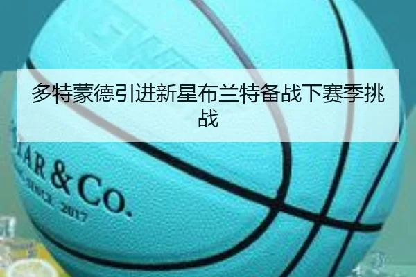 多特蒙德引进新星布兰特备战下赛季挑战